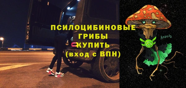 твердый Бронницы