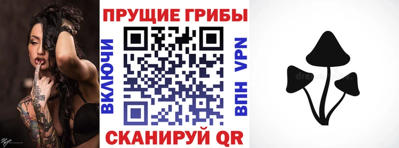купить наркотик  mega вход  Псилоцибиновые грибы прущие грибы  даркнет клад  Гремячинск 