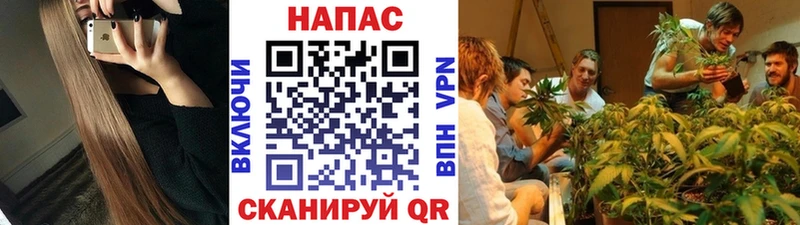 МАРИХУАНА индика  ссылка на мегу маркетплейс  Гремячинск 